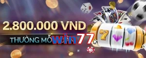 win77