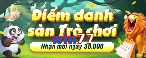 win77