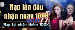 win77