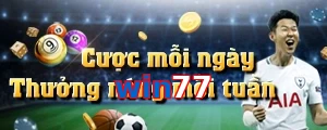 win77